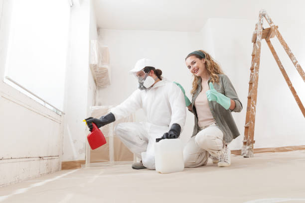 Best Black Mold Removal  in USA